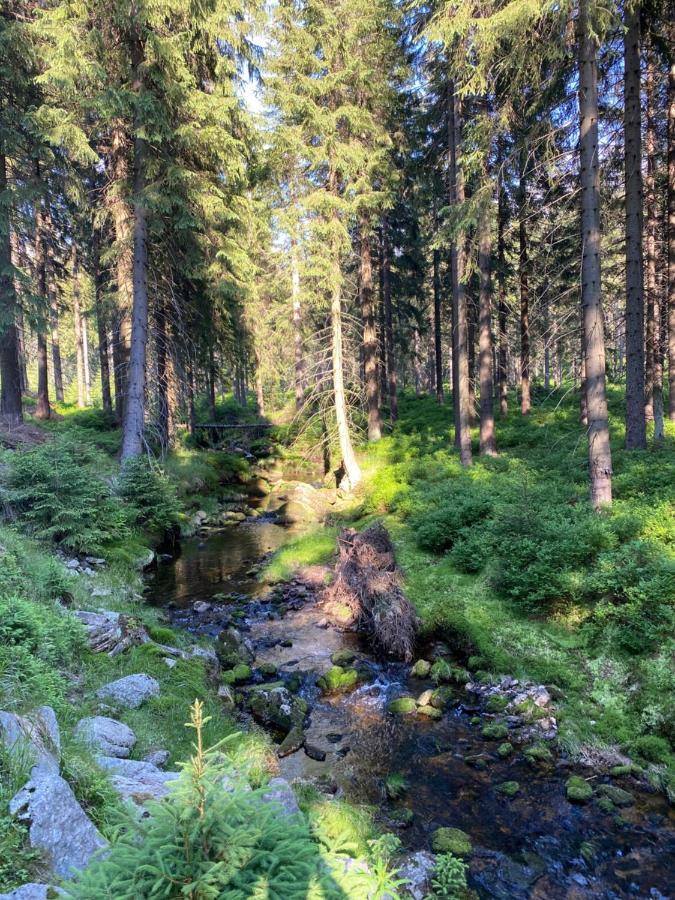 Ski Sun Sea - Rodzinny apartament pod gondolą Swieradow-Zdroj Bagian luar foto