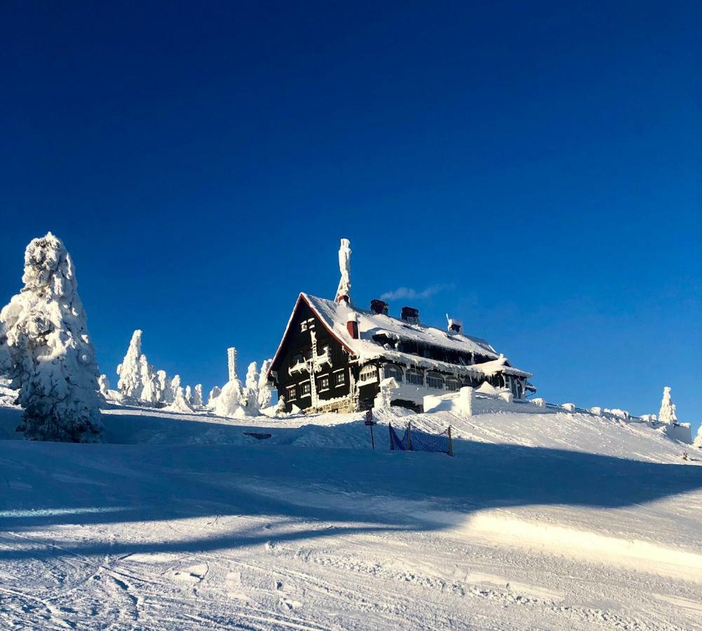 Ski Sun Sea - Rodzinny apartament pod gondolą Swieradow-Zdroj Bagian luar foto